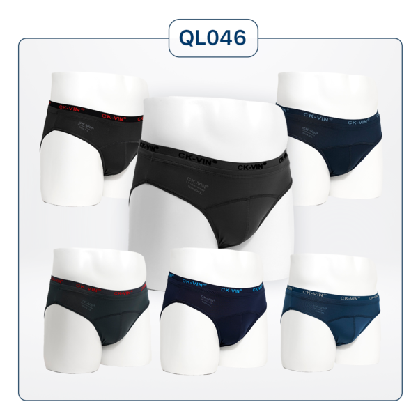 Set 5 quần lót nam brief tam giác QL046